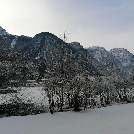 Appartamento Apartma Angi